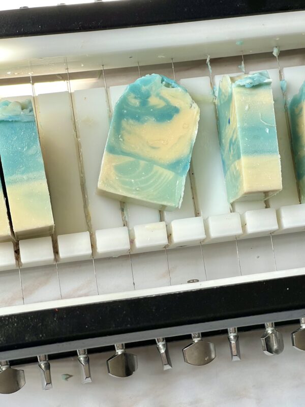 Milky Mimosa - Image 2